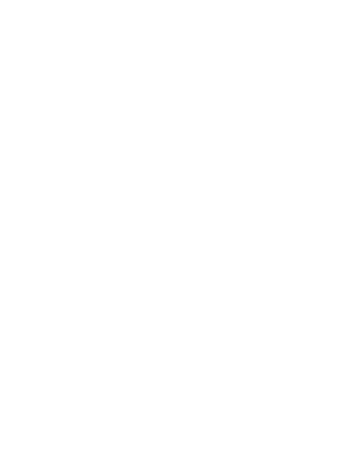 Portfolio decorative shape